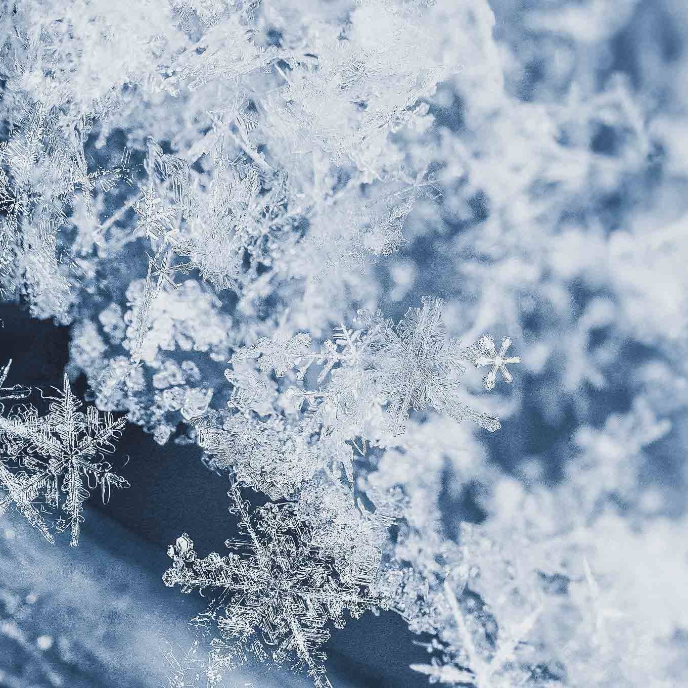 Messer Solingen, Güde Messer, Kochmesser Solingen, Messerset, wetzstahl, solinger messer Messer Solingen, Güde Messer, Kochmesser Solingen, Messerset, wetzstahl, solinger messer